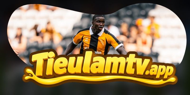Gợi ý chốt kèo tổng hợp trận Coventry City vs Hull City ngày 29/08